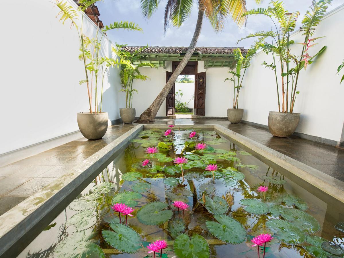 Villa 46 Hikkaduwa Extérieur photo
